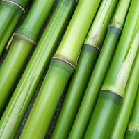 fabric-bamboo
