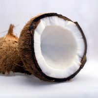 fabric-coconut